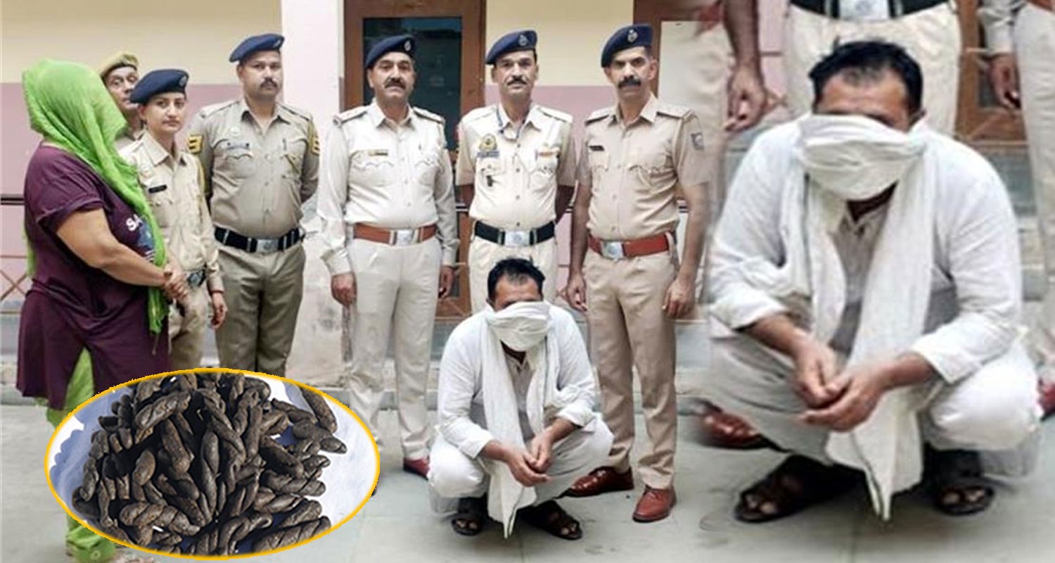 7kg Charas Smuggler women men car kullu police himachal