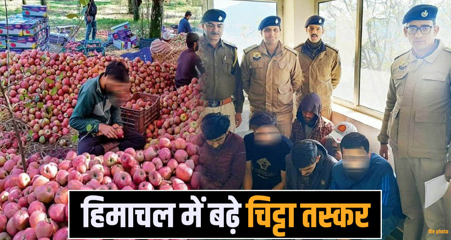 Chitta Smugglers Himachal