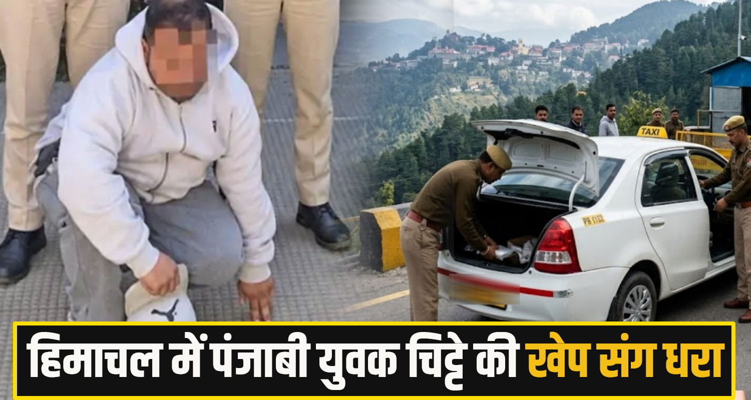 Shimla Chitta News