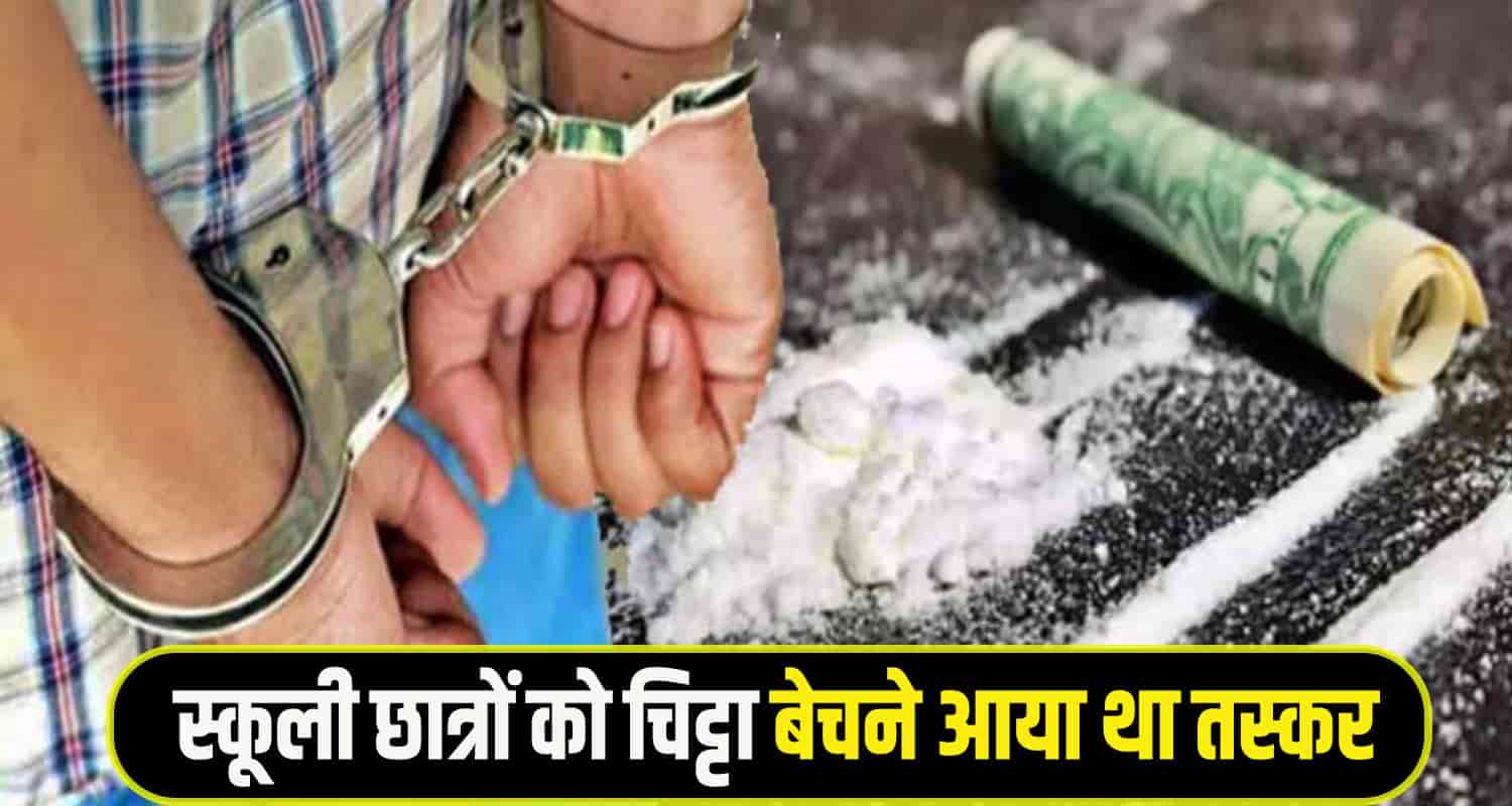 Chitta smuglar solan 