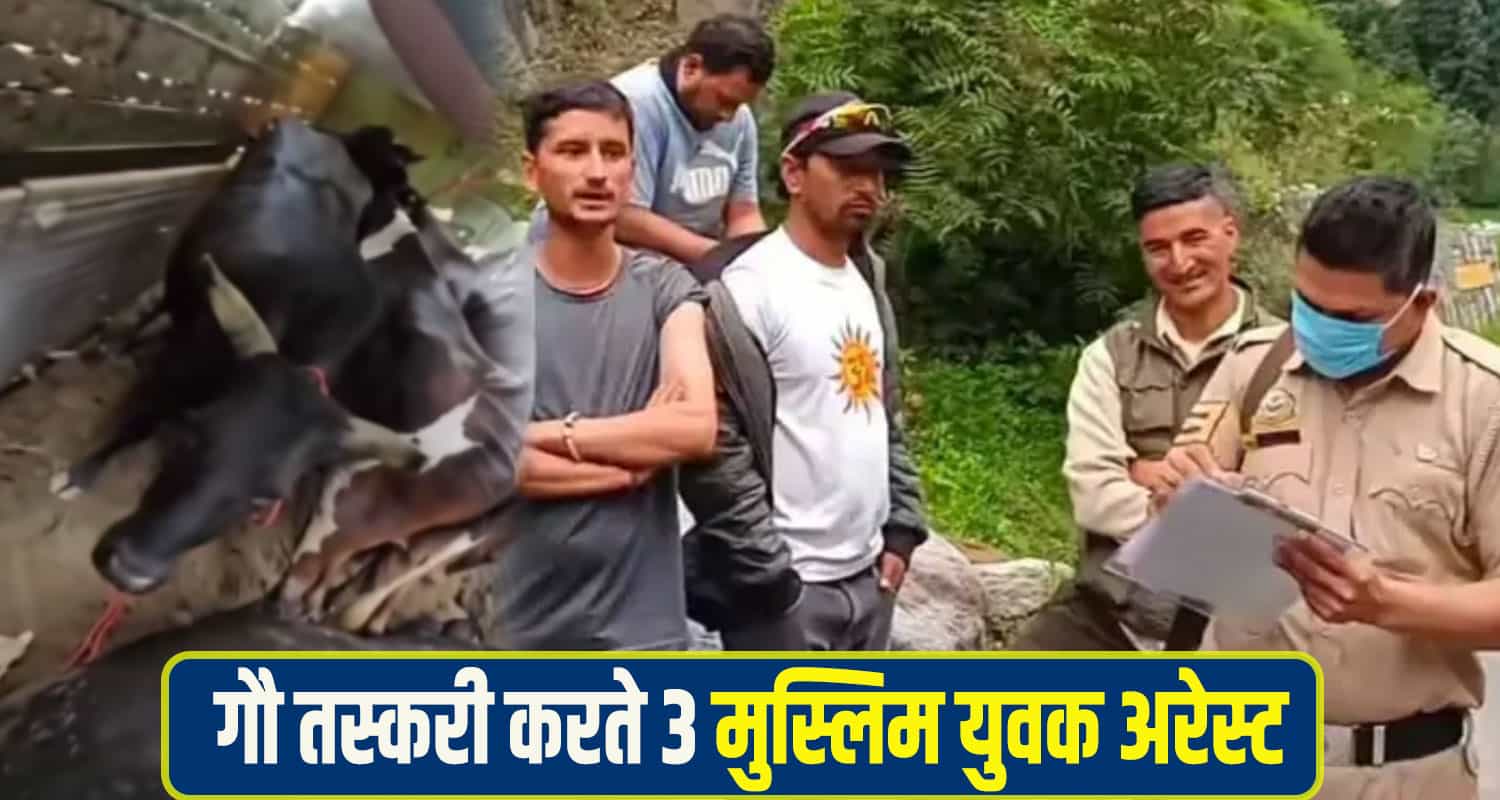 Cow smuggling racket manali