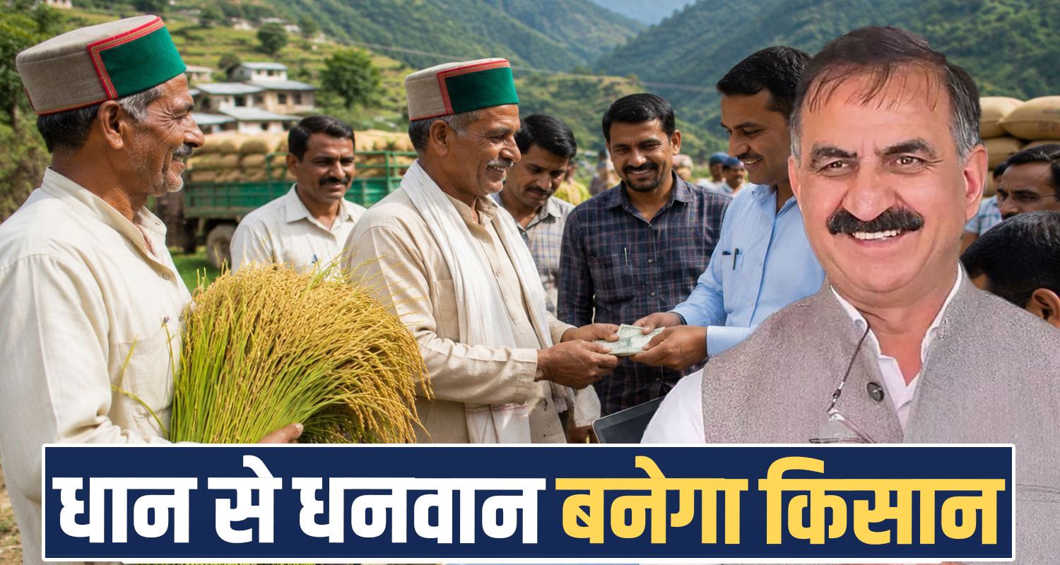 Himachal Pradesh Paddy MSP Hike Procurement Farmers Kangra Agriculture