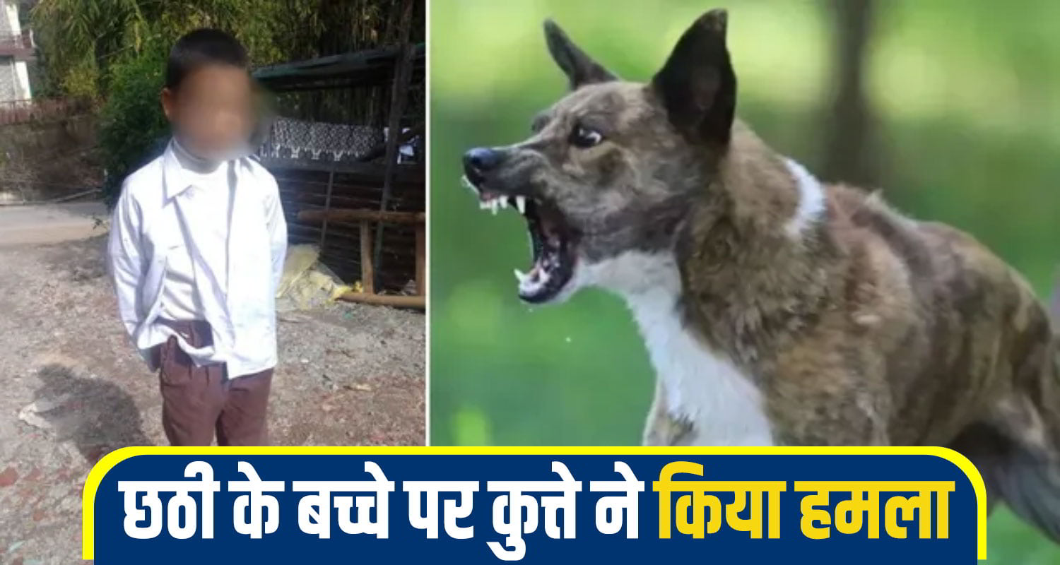 हिमाचल पुलिस