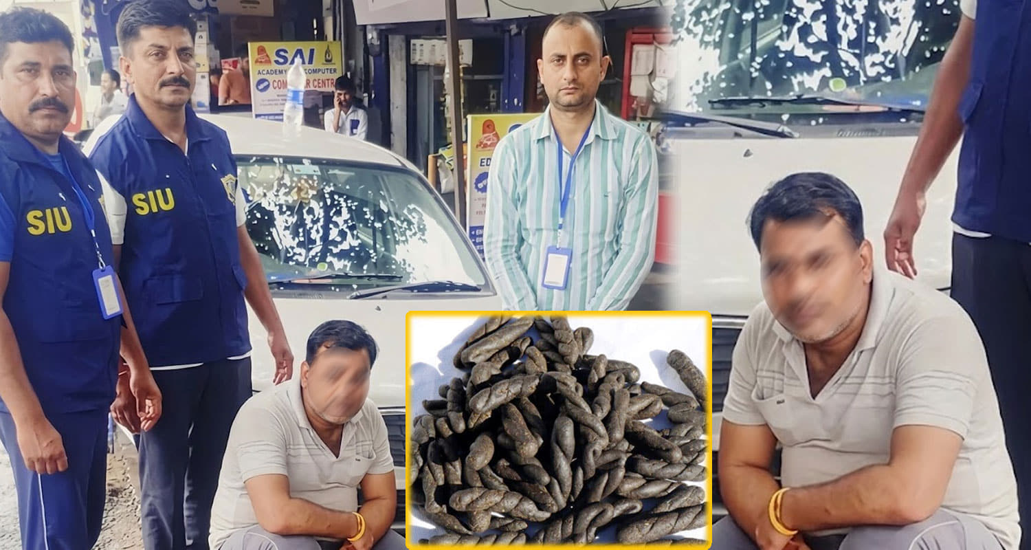 Himachal Pradesh News