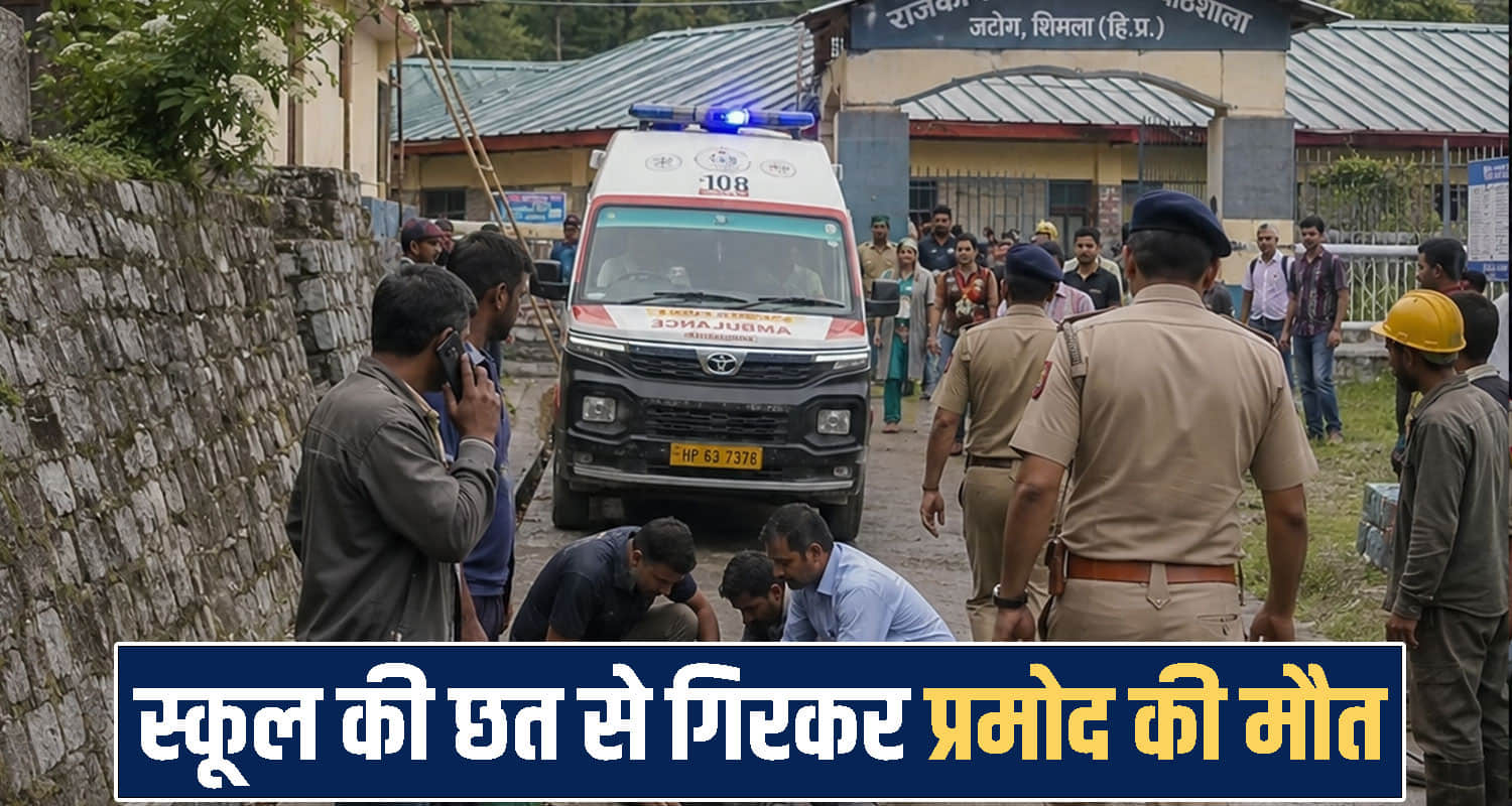 himachal shimla news