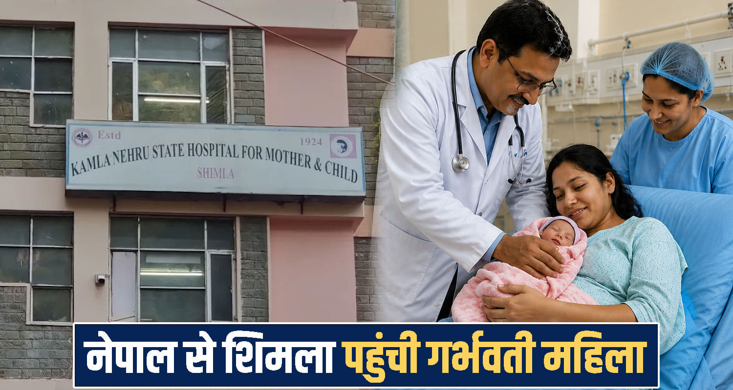 Himachal Shimla News