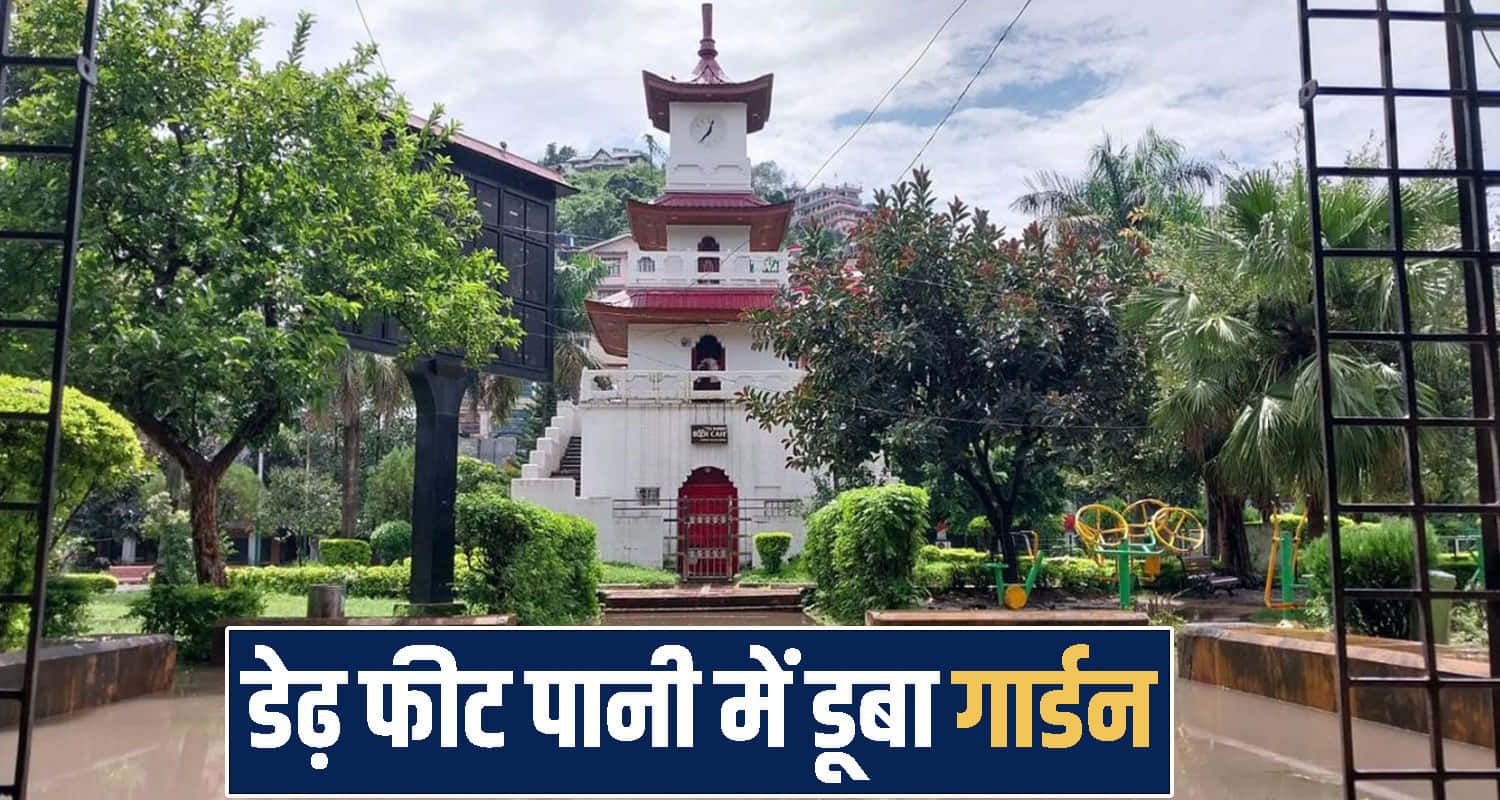 himachal mandi news