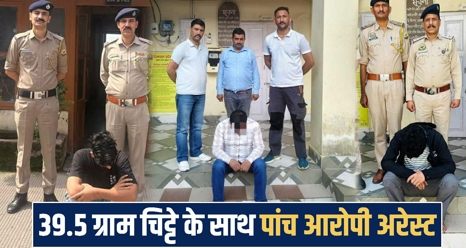 himachal shimla news 