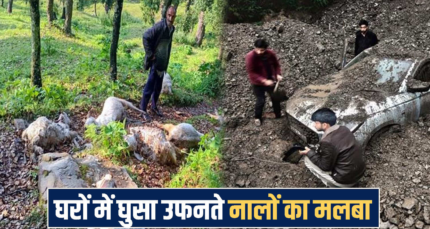 Himachal Pradesh news 