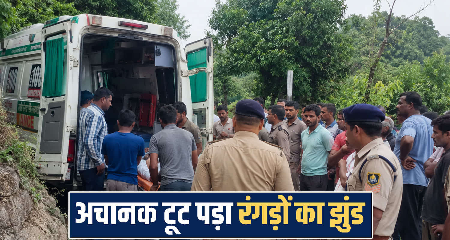 himachal kangra news 