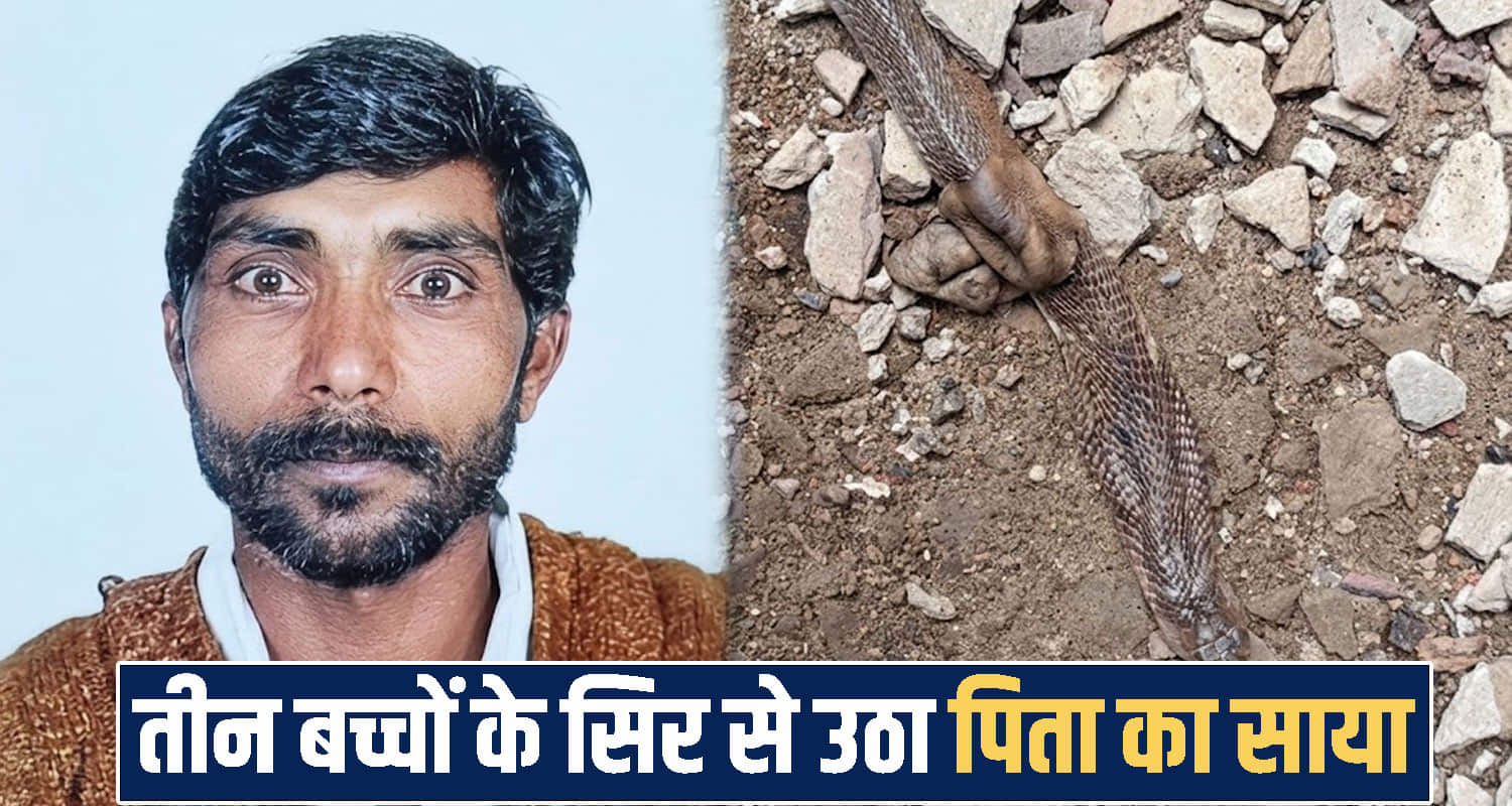 Himachal news 