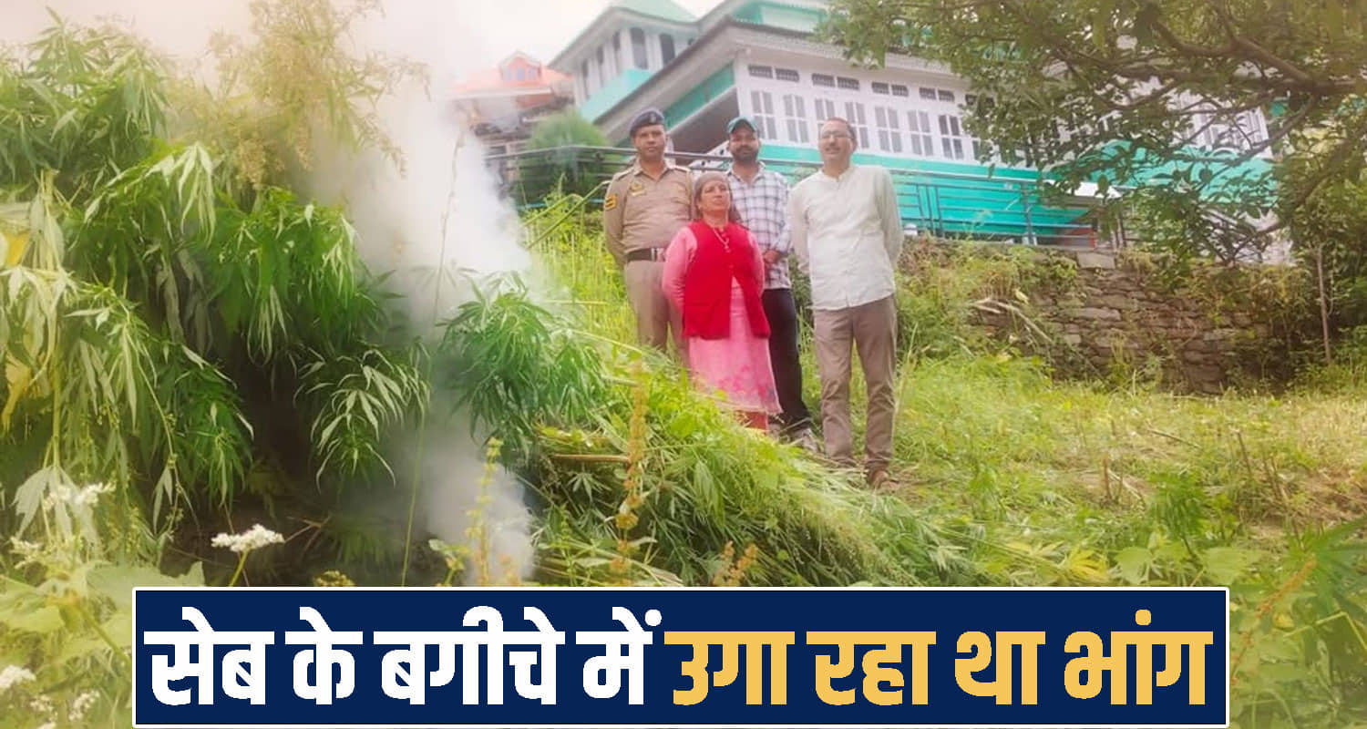 Himachal Pradesh shimla news 