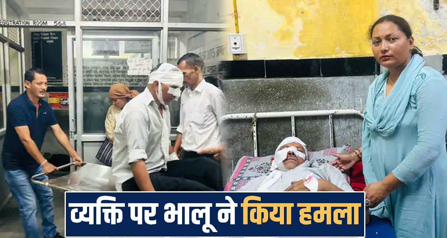 himachal shimla news