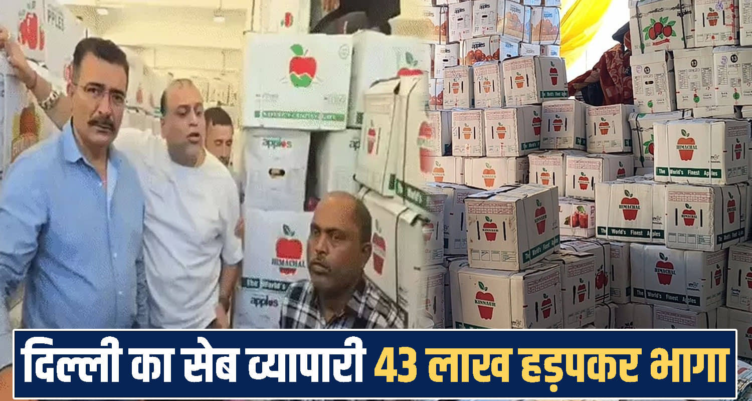 himachal Shimla News