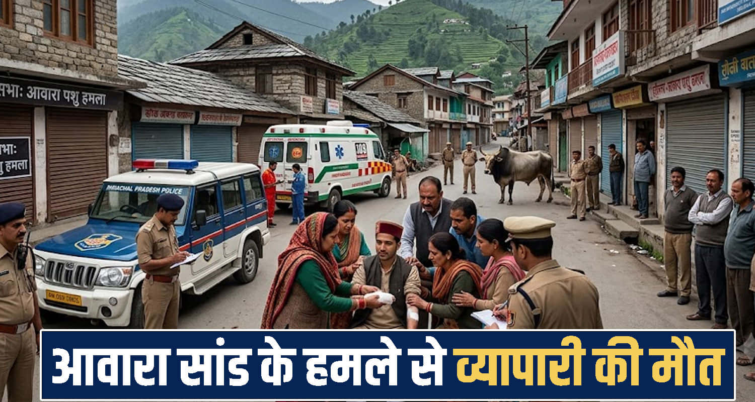 himachal Solan News