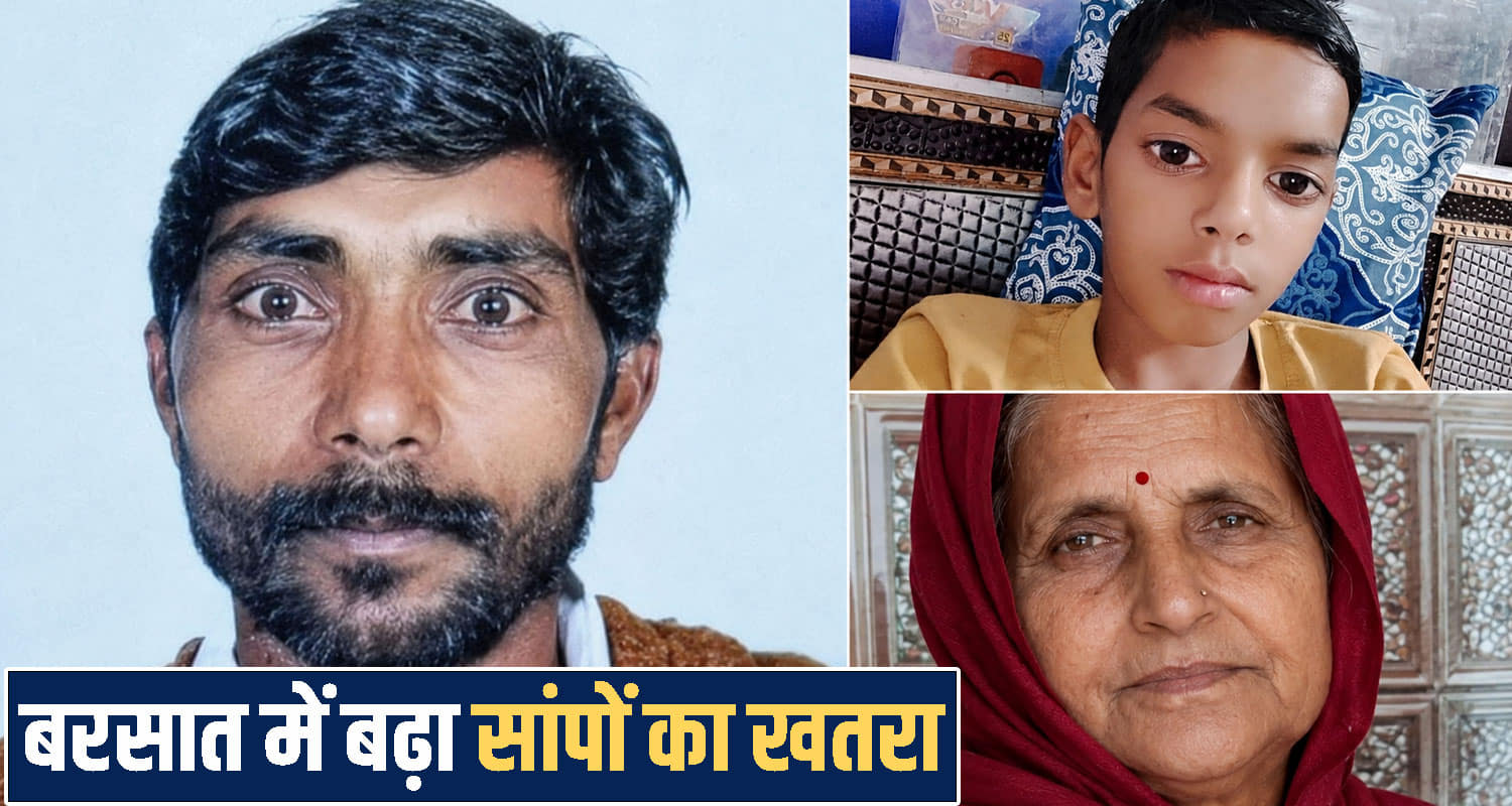 हिमाचल : बरसात में सर्पदंश से 8 लोगों की थमीं सांसें- मासूम तक बने शिका..र, आप भी रहें सतर्क