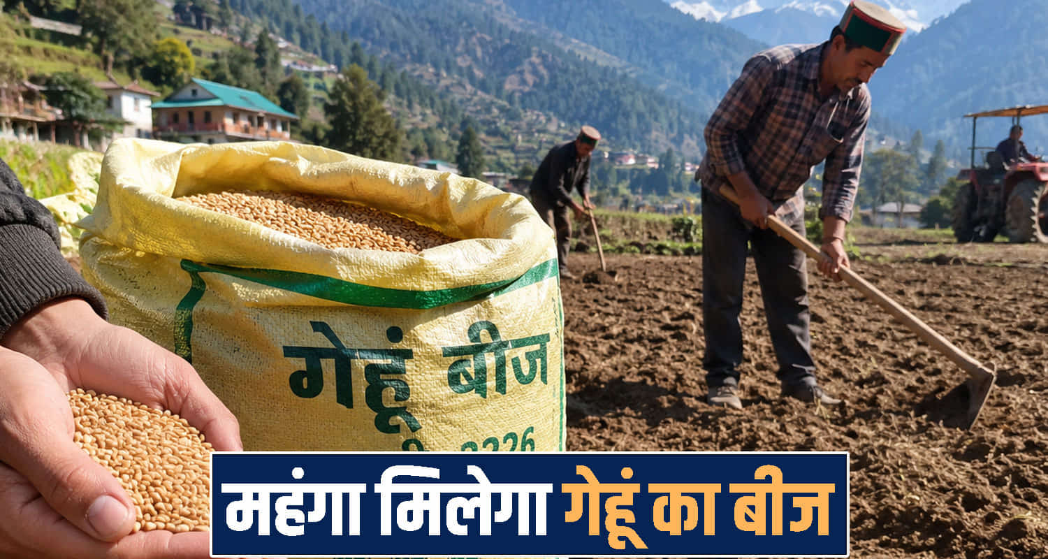 Himachal Pradesh news