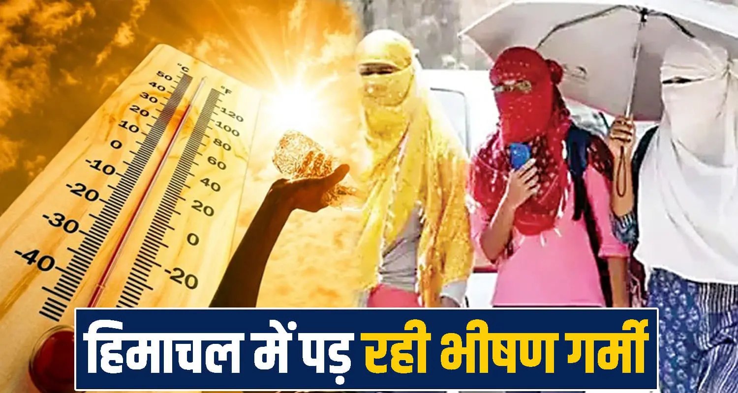 Himachal Weather Forecast Update HeatWave Rainfall Farmers Crops
