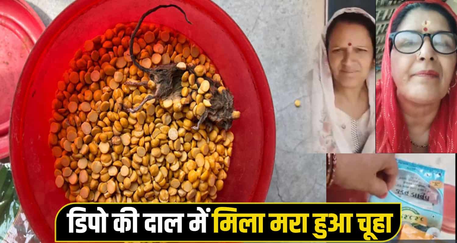 Hamirpur sujanpur Depo raton rat