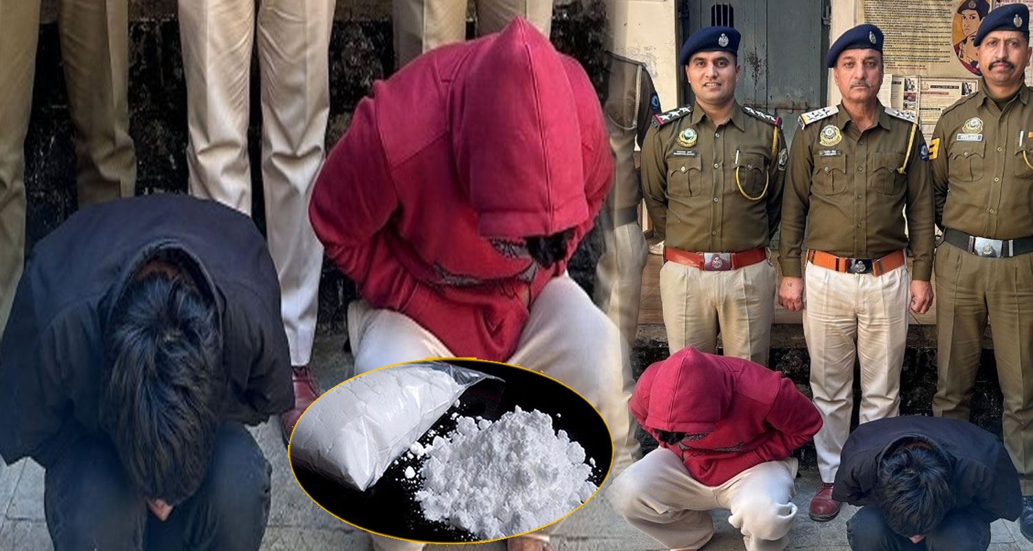 Chitta Suppliers Himachal Solan