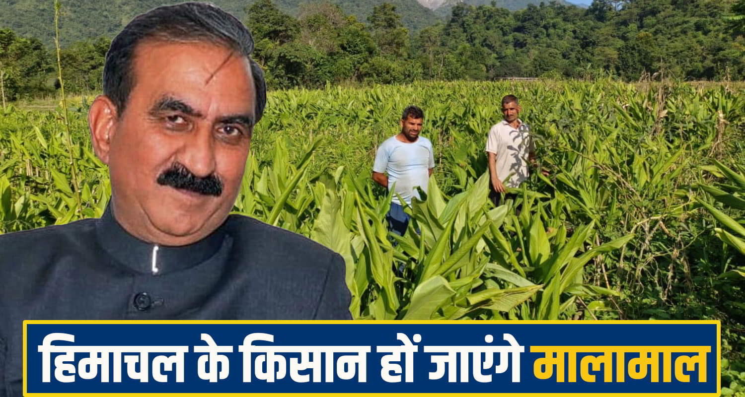  Himachal Pradesh Agriculture