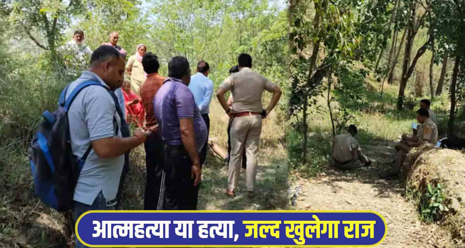 Himachal Hamirpur News