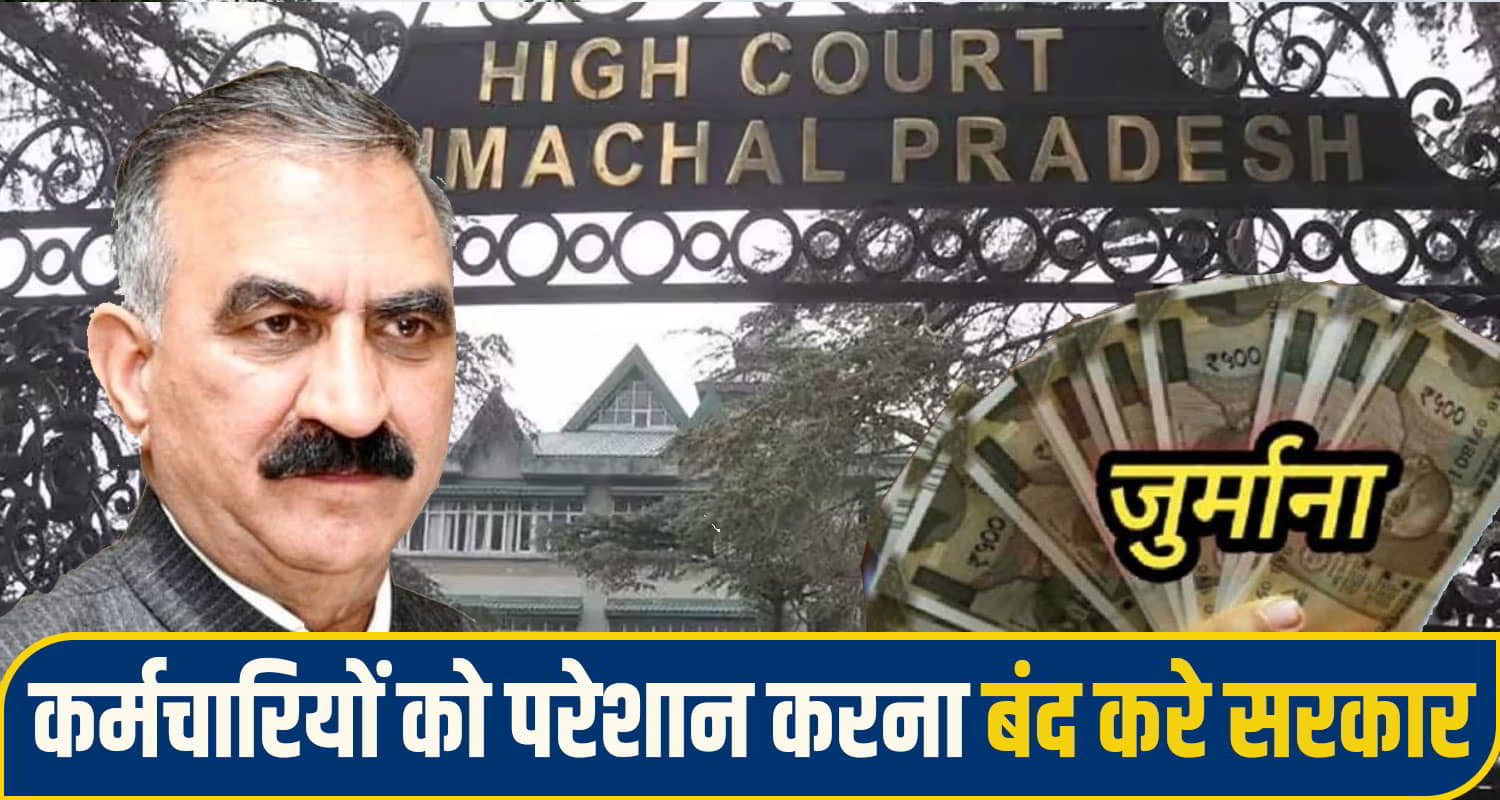 himachal high court
