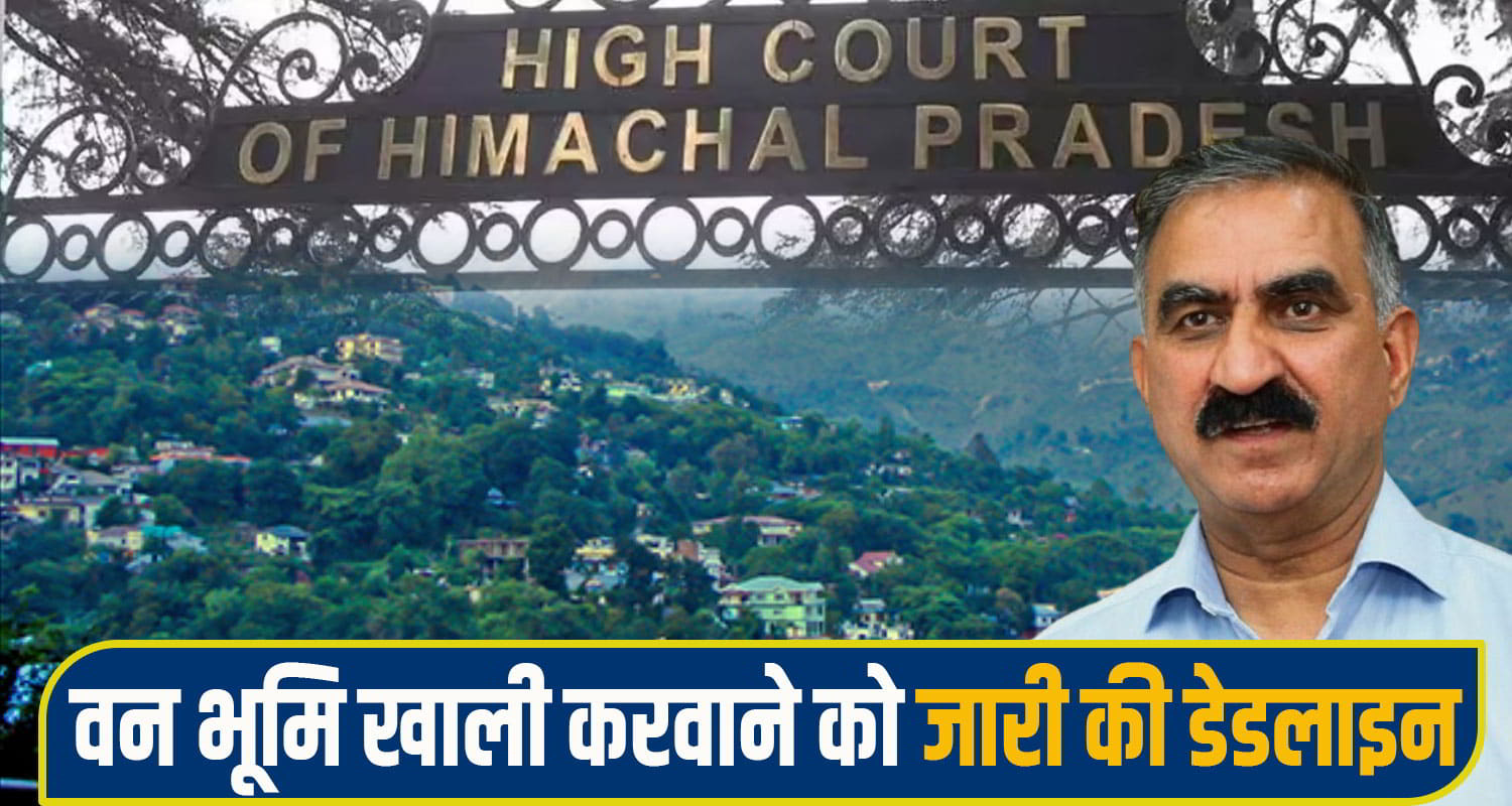 himachal high court