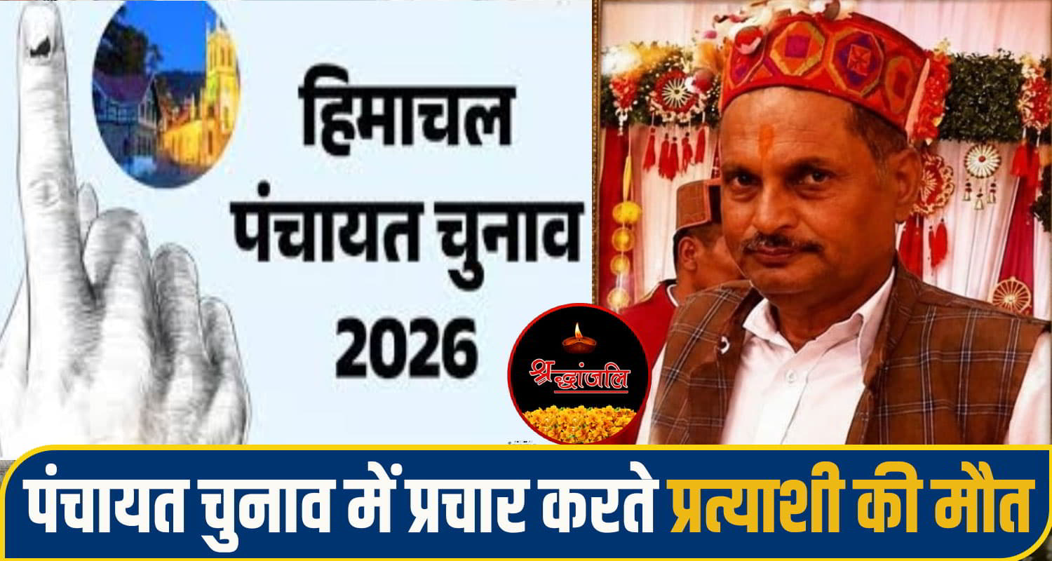 himachal mandi News