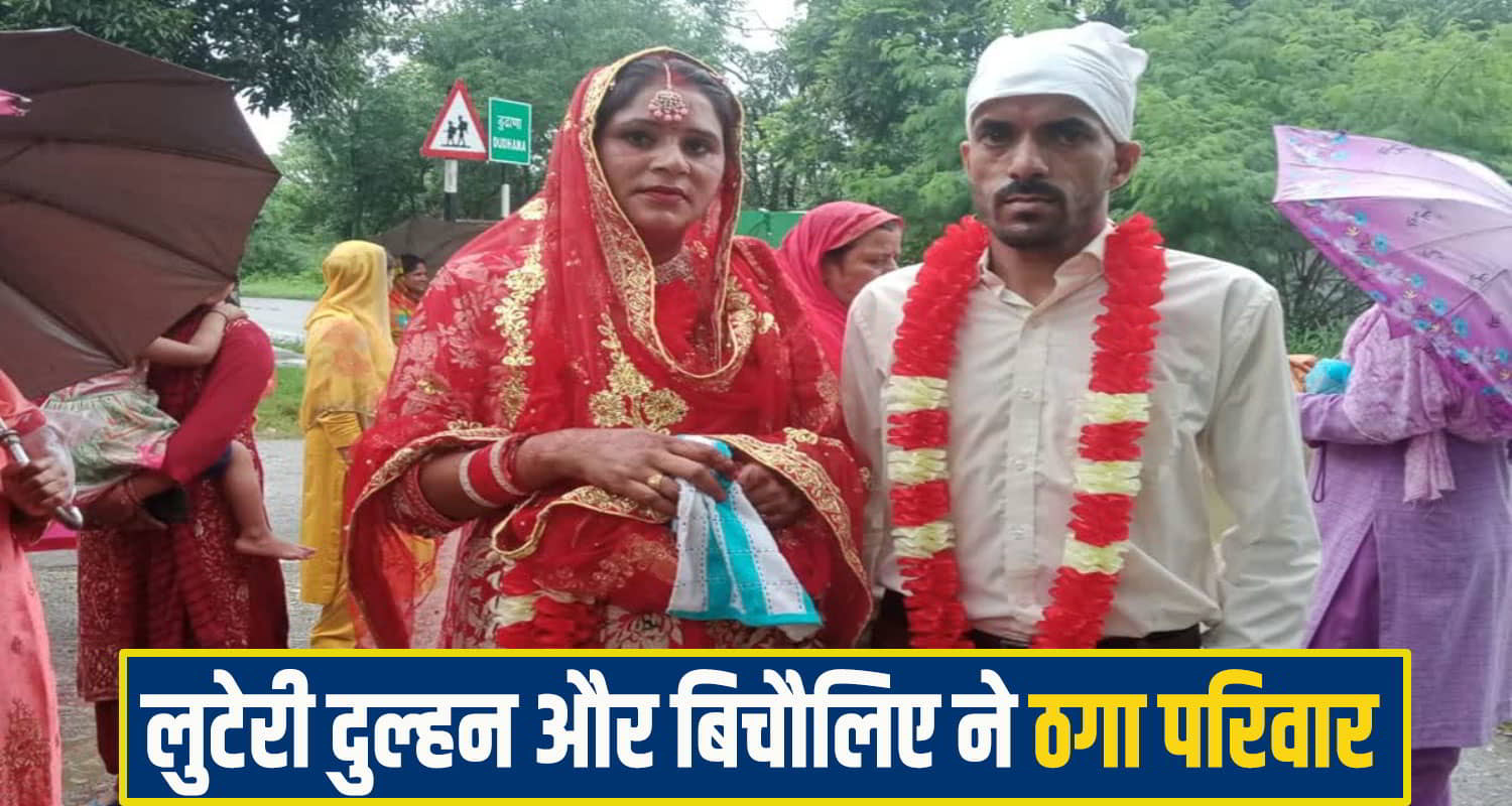 himachal Marriage Fraud News