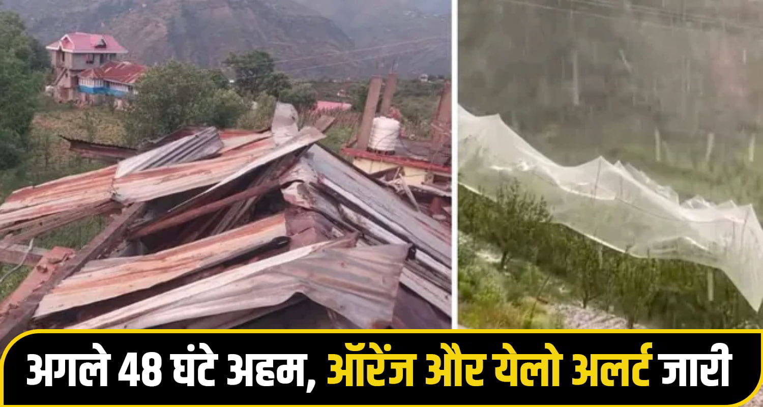 himachal news