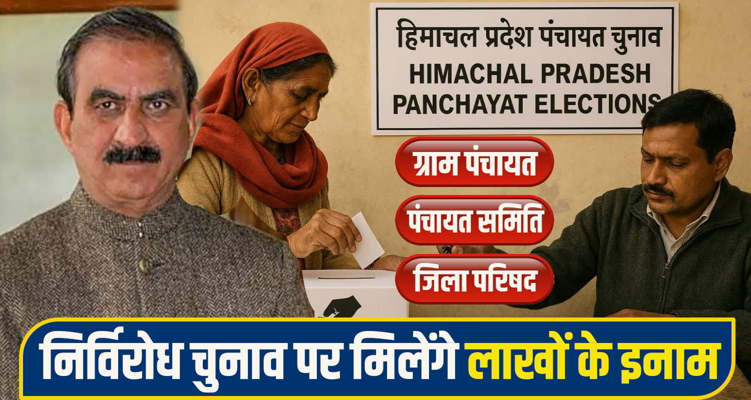himachal panchyat election