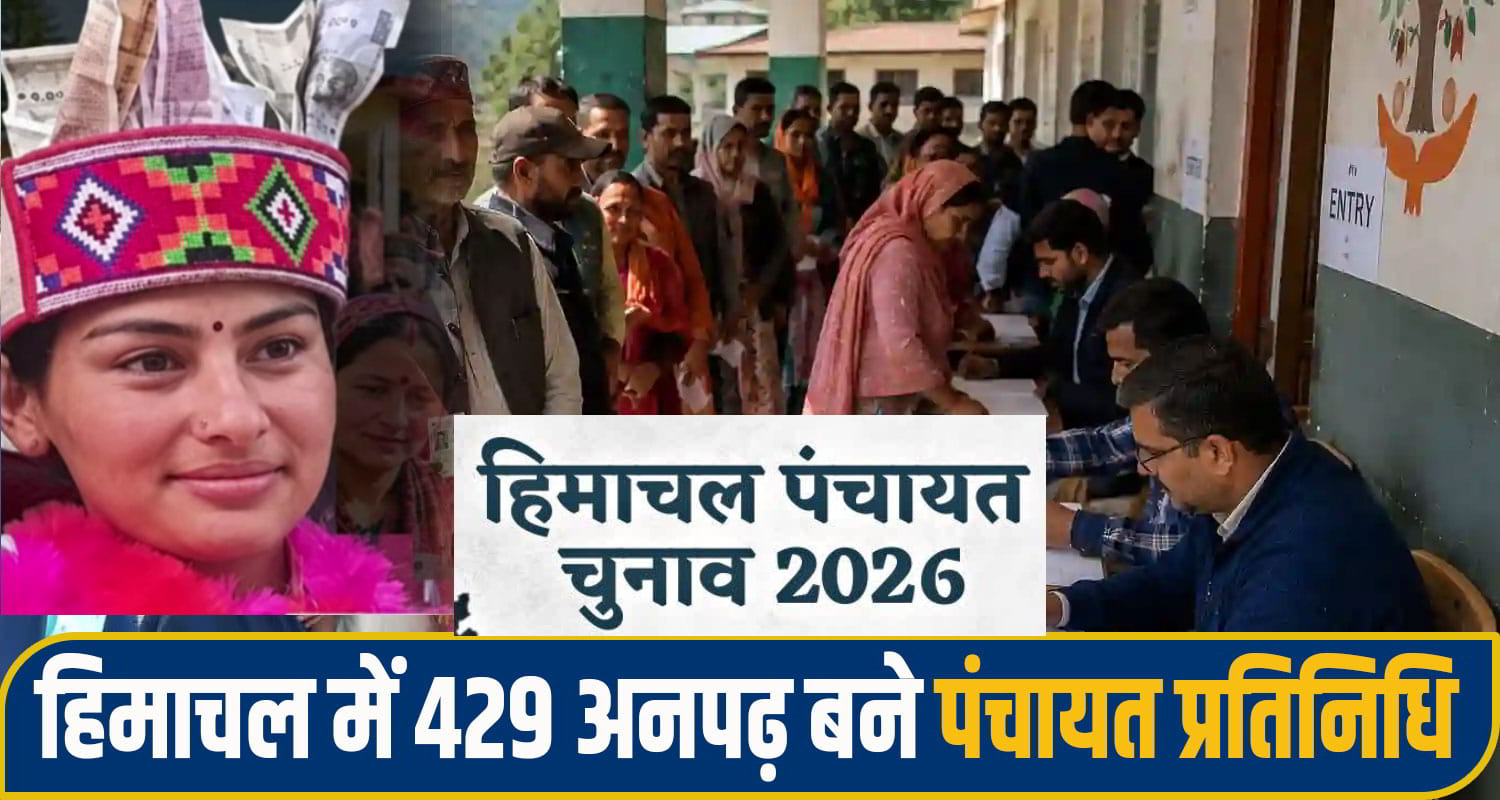 himachal panchyat election