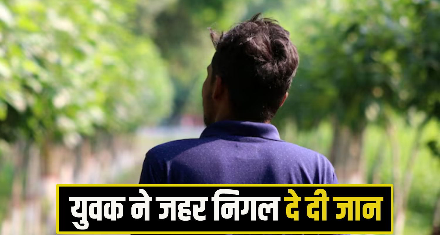 himachal shimla News