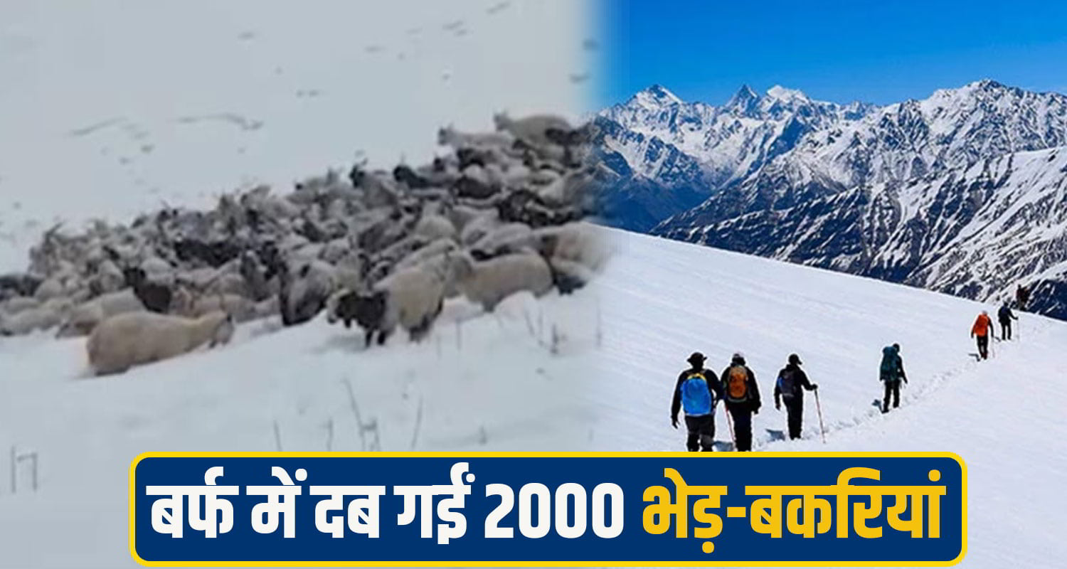 himachal snowfall