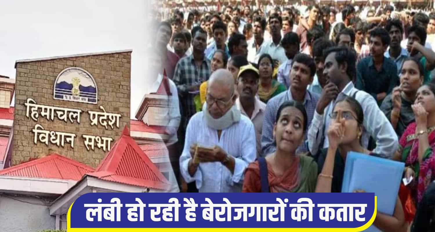 himachal vidhansabha unemployed