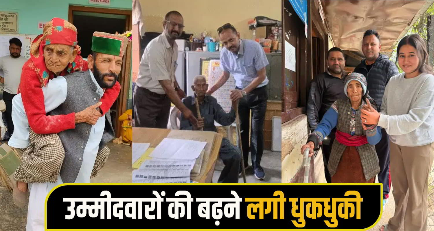 himachal voting