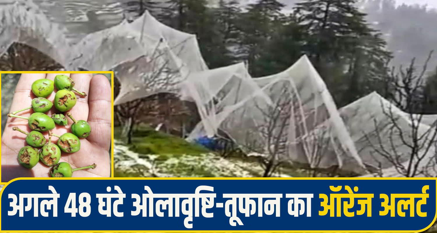 himachal Weather alert