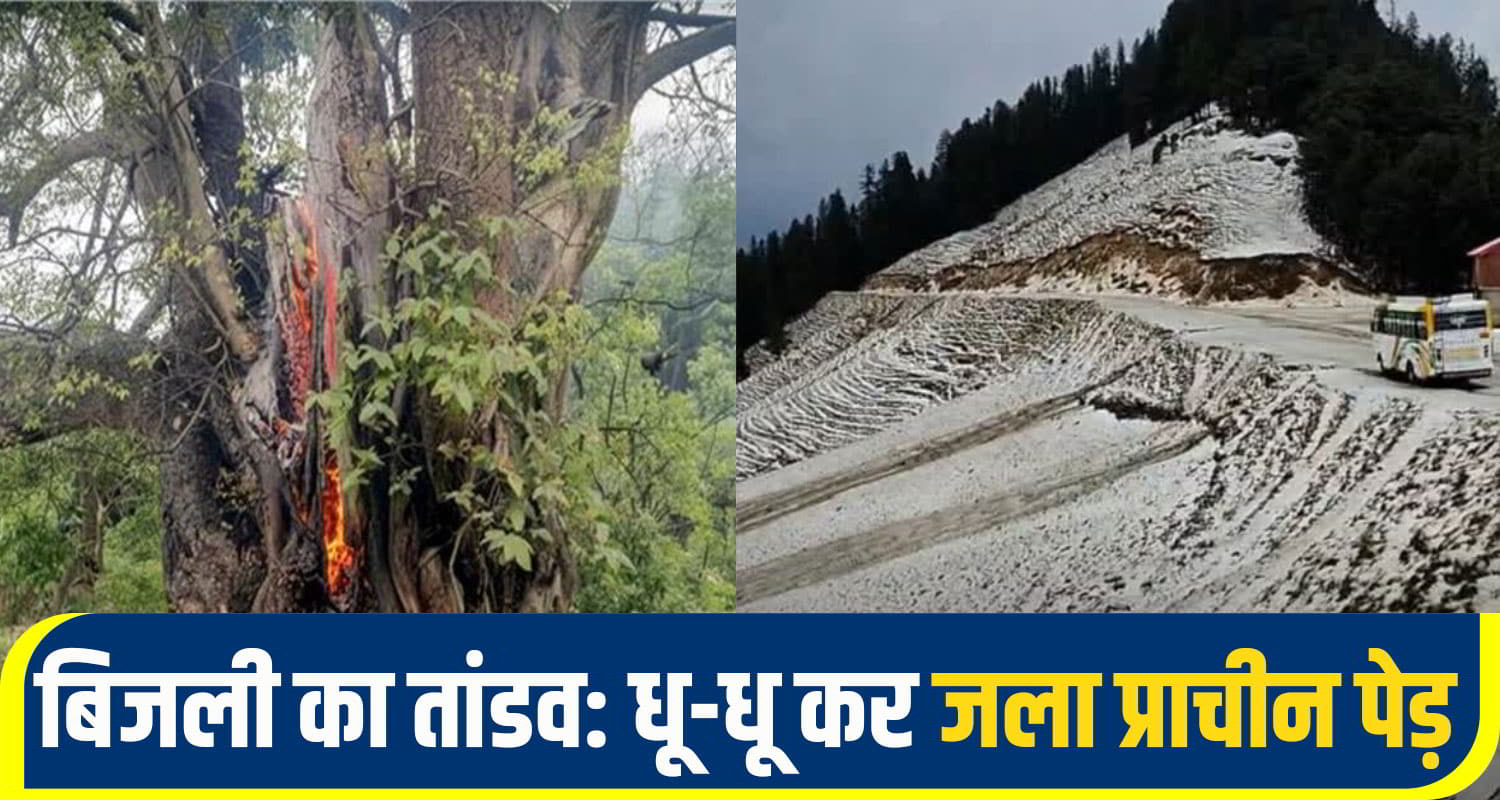 himachal weather alert