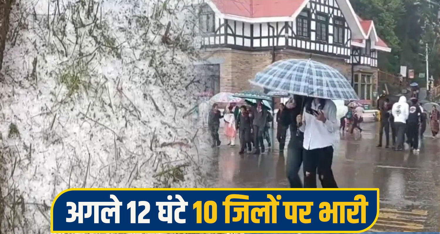 himachal weather alert