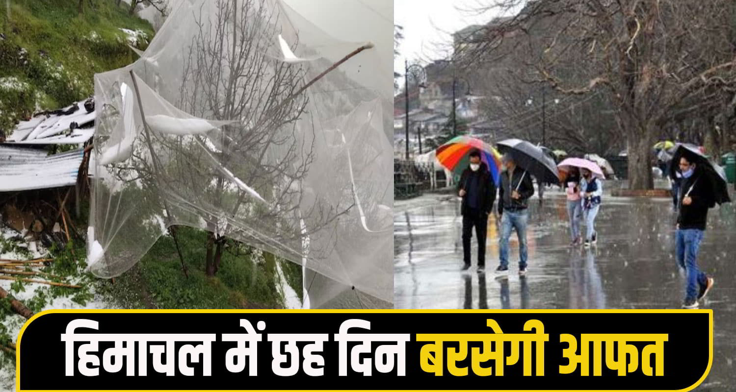 himachal weather