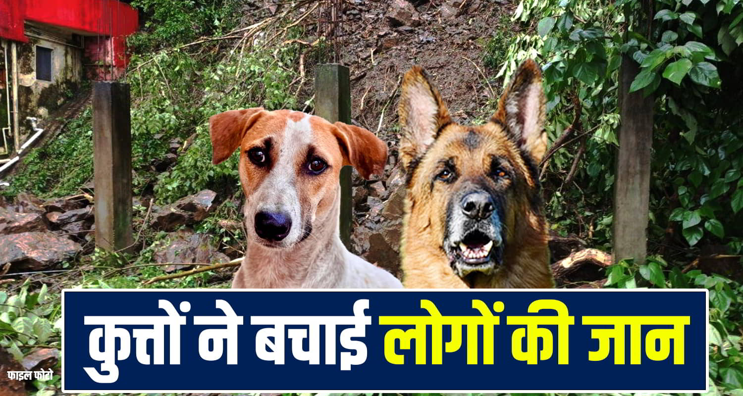 Himachal Dog Landslide Alert