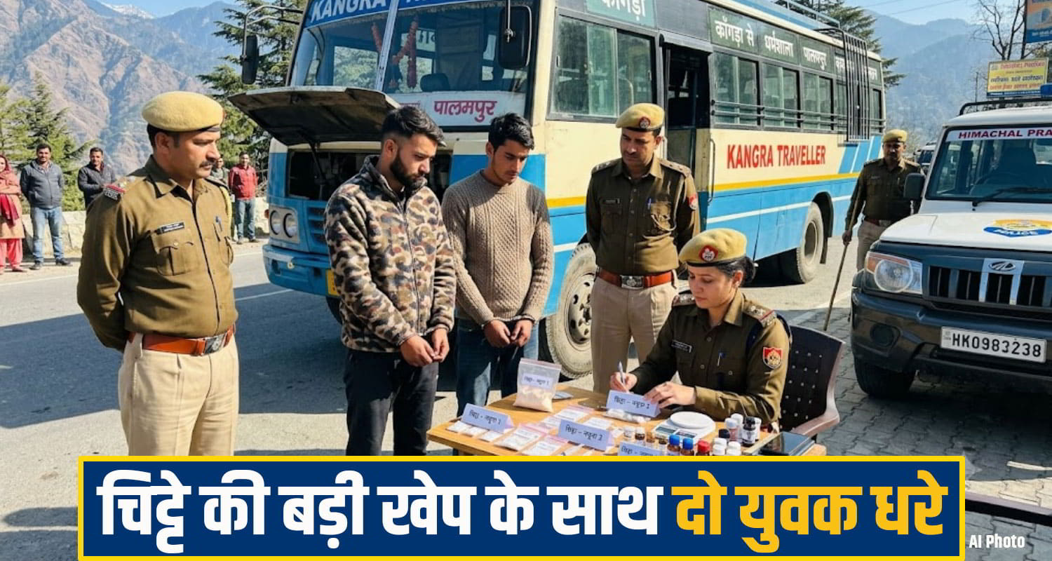 kangra chitta News