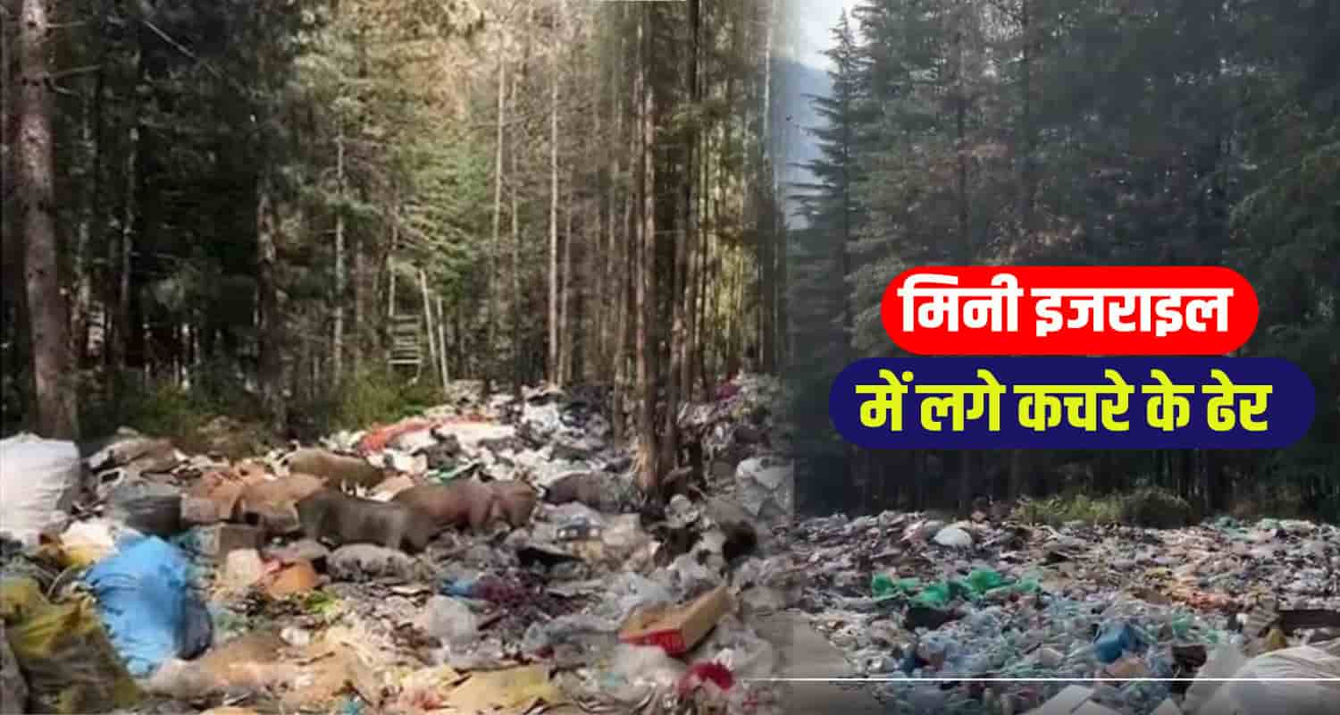 Kullu kasol News