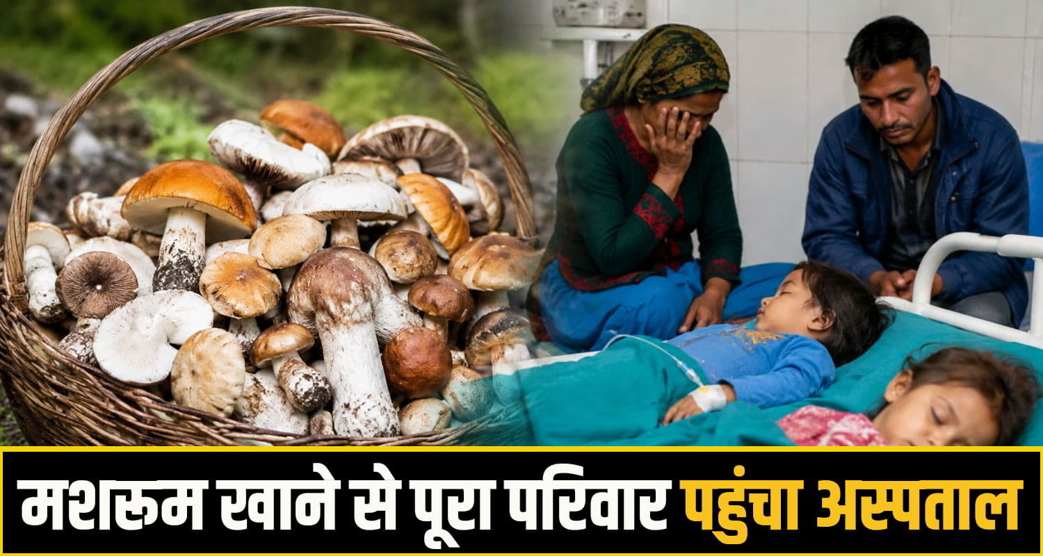 kullu News