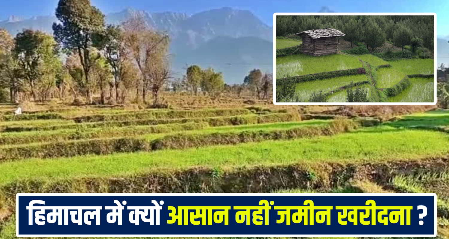 Land Buying Rules Himachal