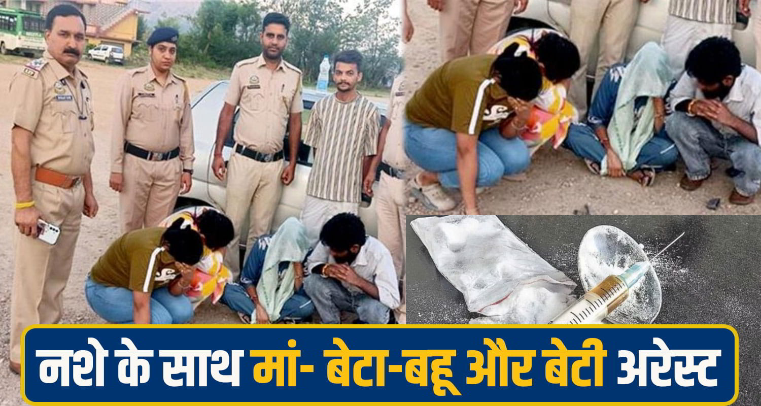 mandi chitta News