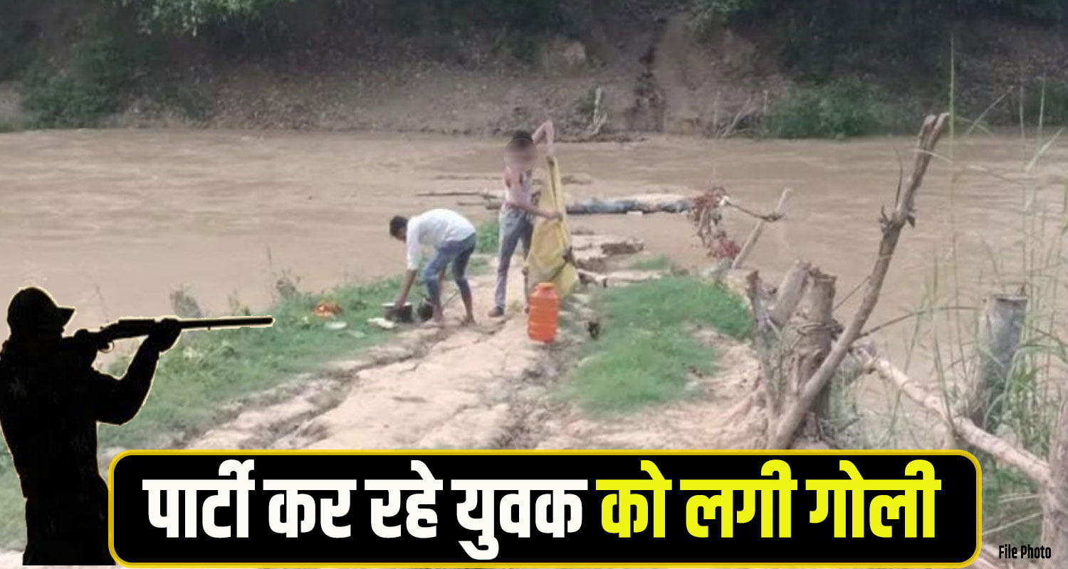 Mandi forest crime News