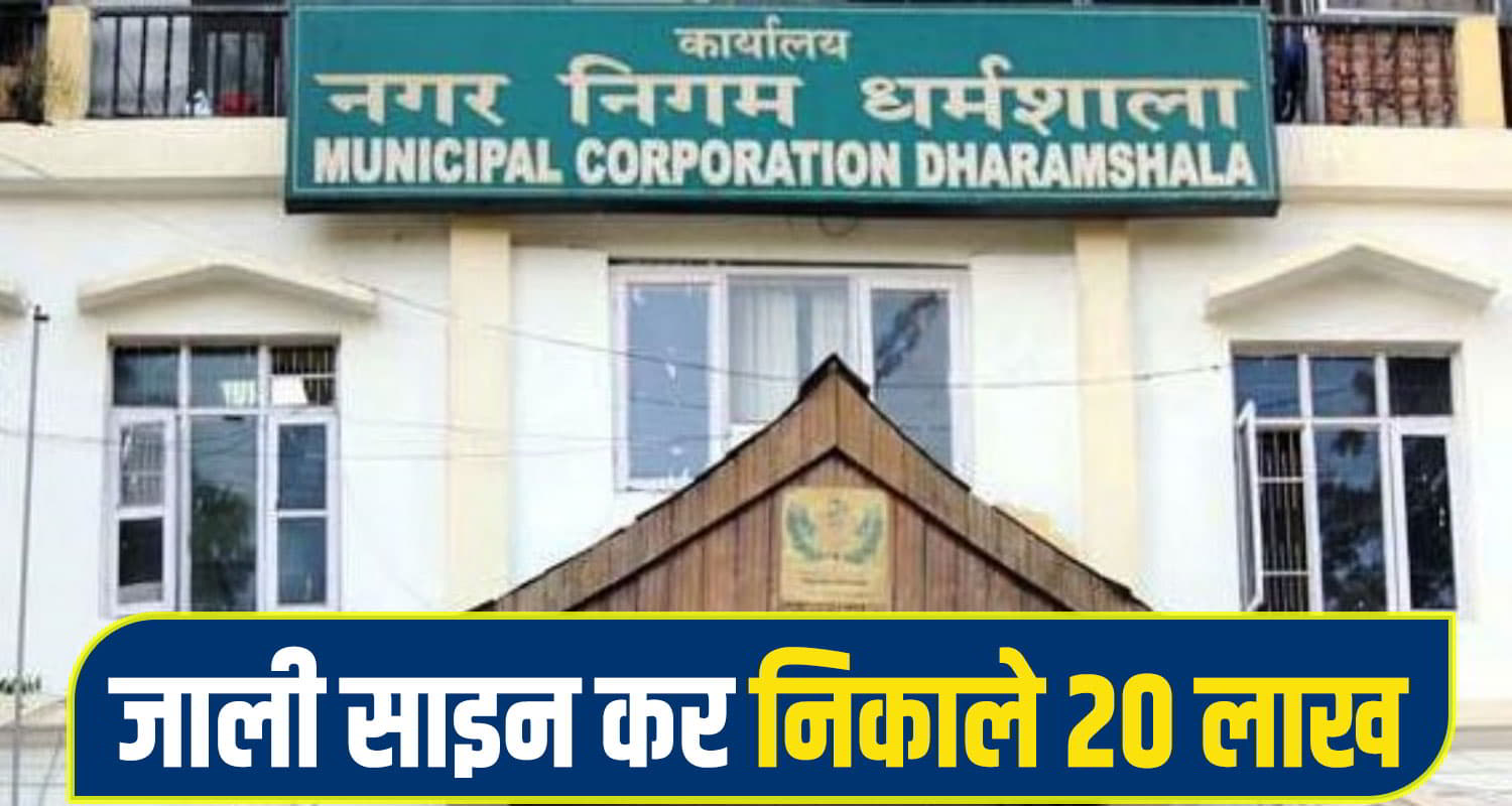 MC Dharamshala News
