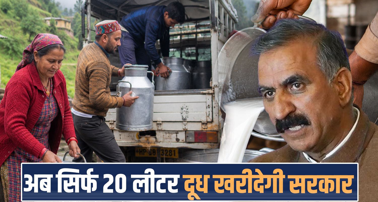 20 litres buffalo cow milk purchased sukhu government animal husbandry milkfed decision
